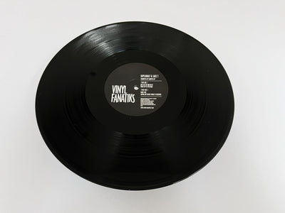 Diplomat & Safe T - Examples Of Samples EP - VFS055